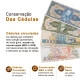 Coleção de Cédulas do Brasil Cruzeiro ao Real 1944 - 2026 Por Tipo Semicompleto (66 de 101) Bom Estado de Conservação